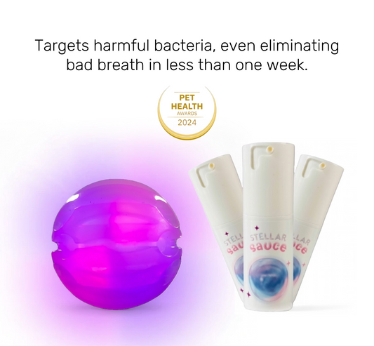 Supernova Starter Bundle