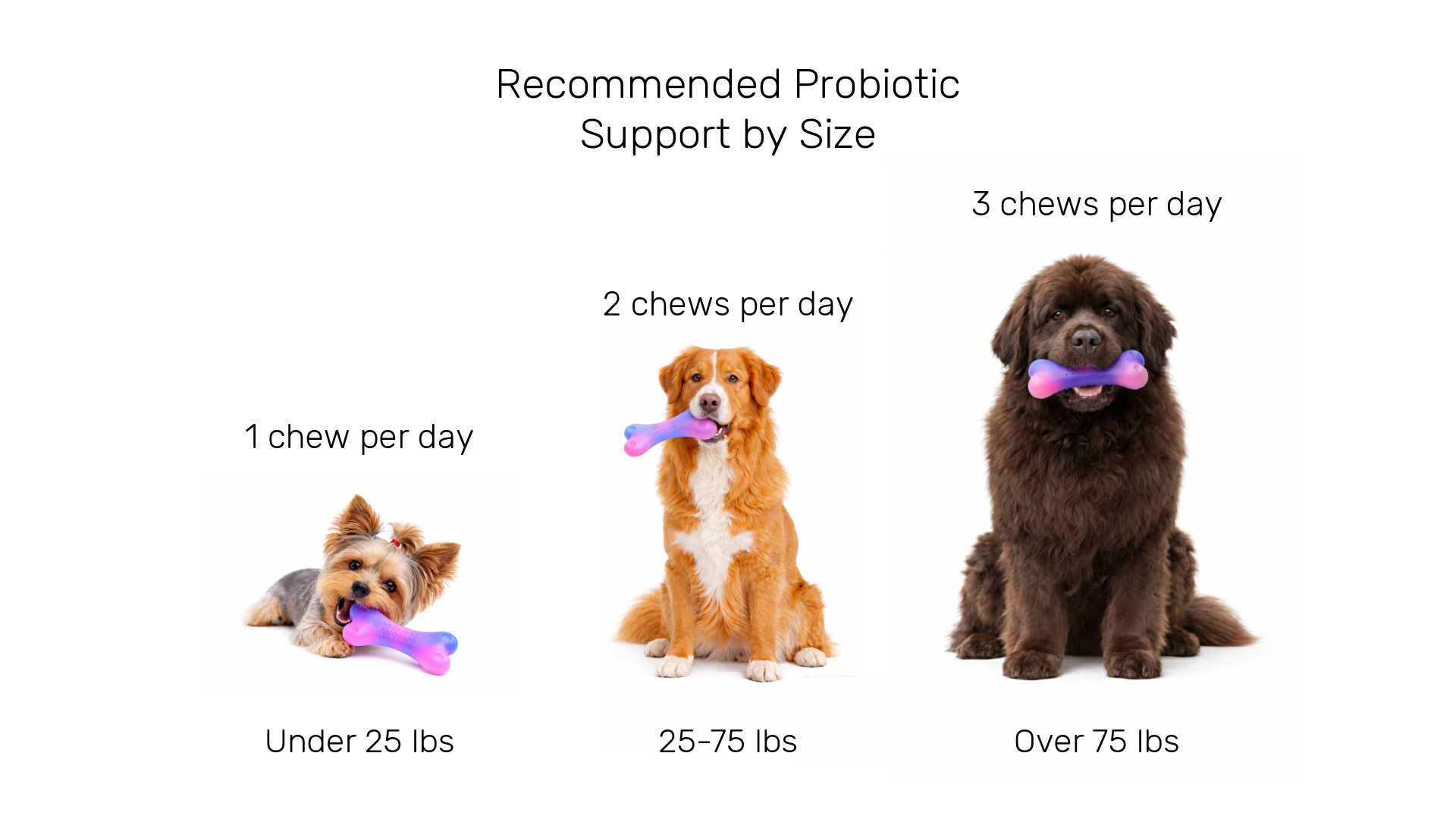 TLC Bone Probiotic Chews — Medium (60ct)